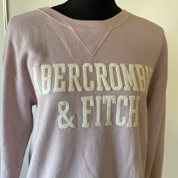 ❤️SOLD❤️ NWT Abercrombie & Fitch Womens Sweatshirt Pullover Beige/Tan Medium - Picture 2 of 10